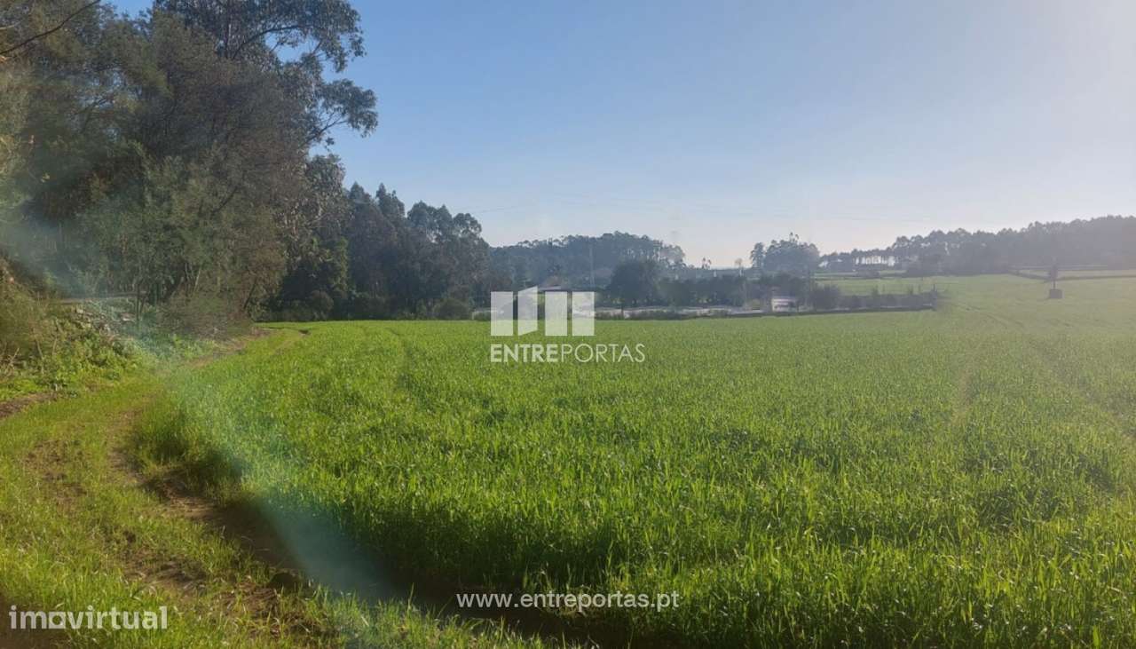 Venda de terreno, Vairão, Vila do Conde - Grande imagem: 4/11