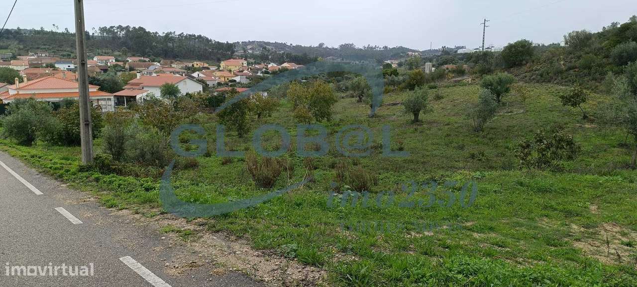 Bom terreno em aldeia junto a Torres Novas - Grande imagem: 5/10