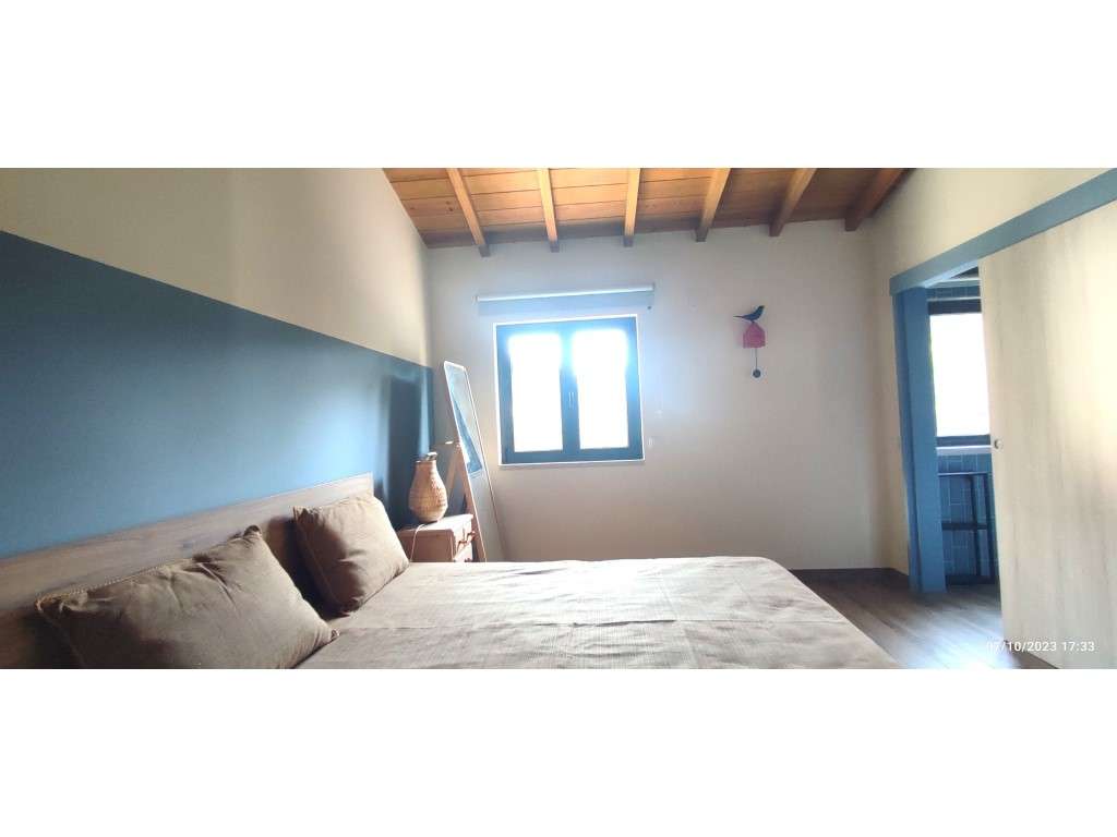 Quinta com duas moradias, anexos, diversas arvores de fruto, vinha ...-33