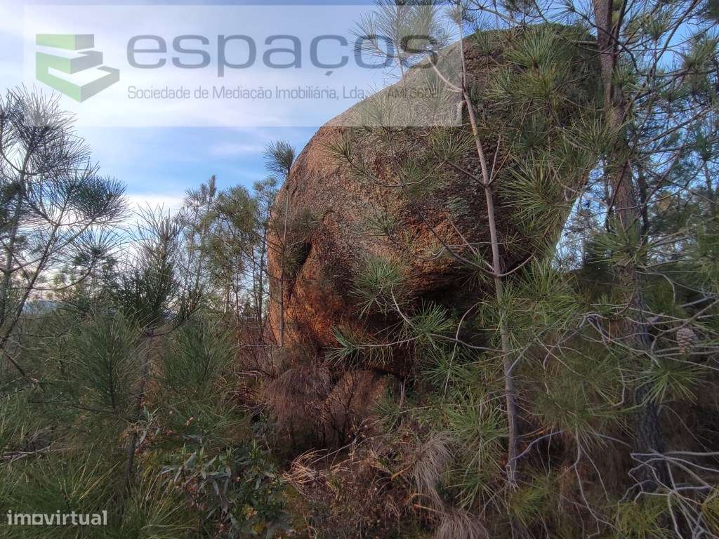Terreno rústico com afloramentos rochosos - Palvarinho - Grande imagem: 4/11