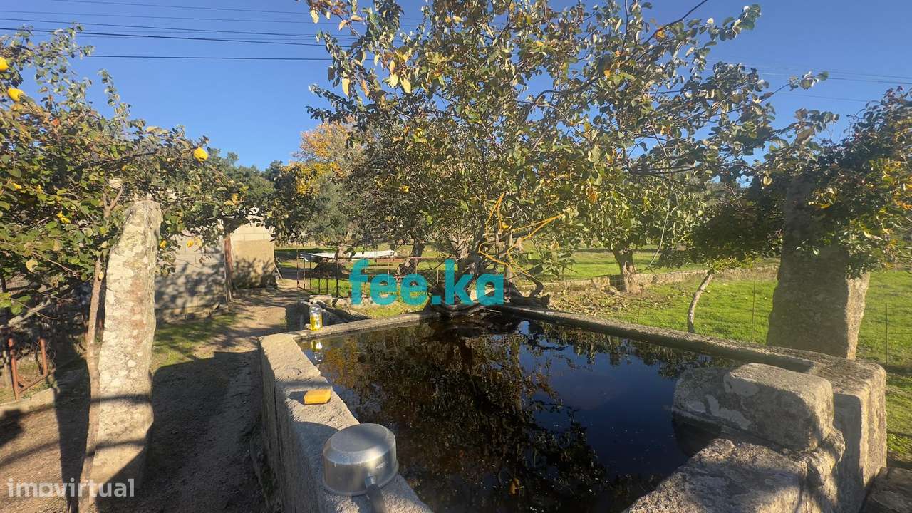 Quinta em Escalos de Baixo-11