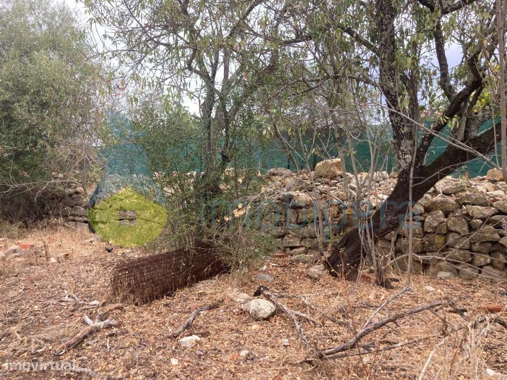 LOTE DE TERRENO COM RUÍNAS EM CERRO DO OURO - Grande imagem: 5/19