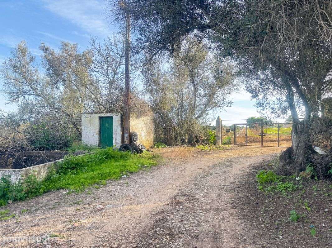 Terreno  para venda - Grande imagem: 5/10