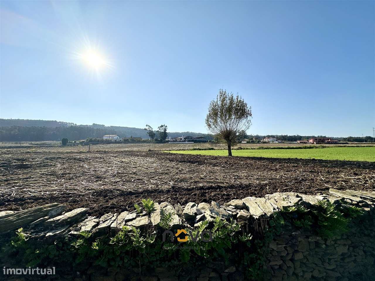 Terreno rústico para atividade agrícola. Póvoa de Varzim |  Nova Imobi - Grande imagem: 3/26