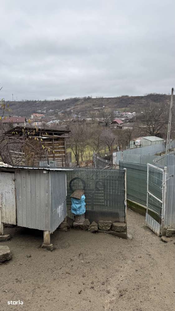 Casa in Margineni-11