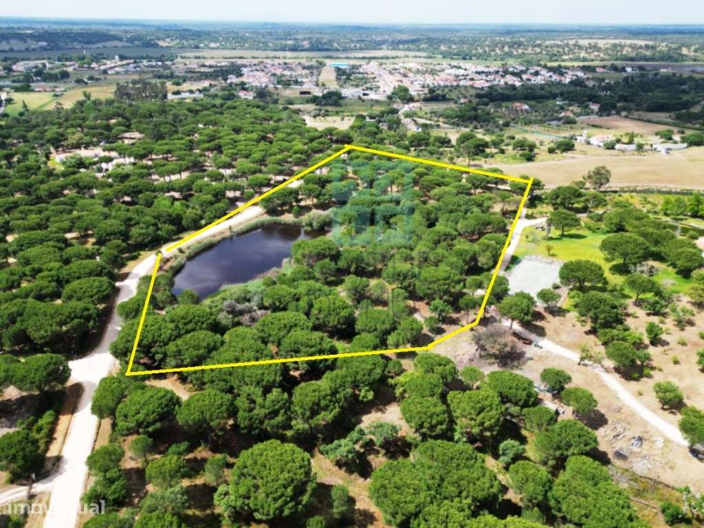 Lote de Terreno de 33.300m2, com lagoa, na Mata do Duque 1, Santo E...-30