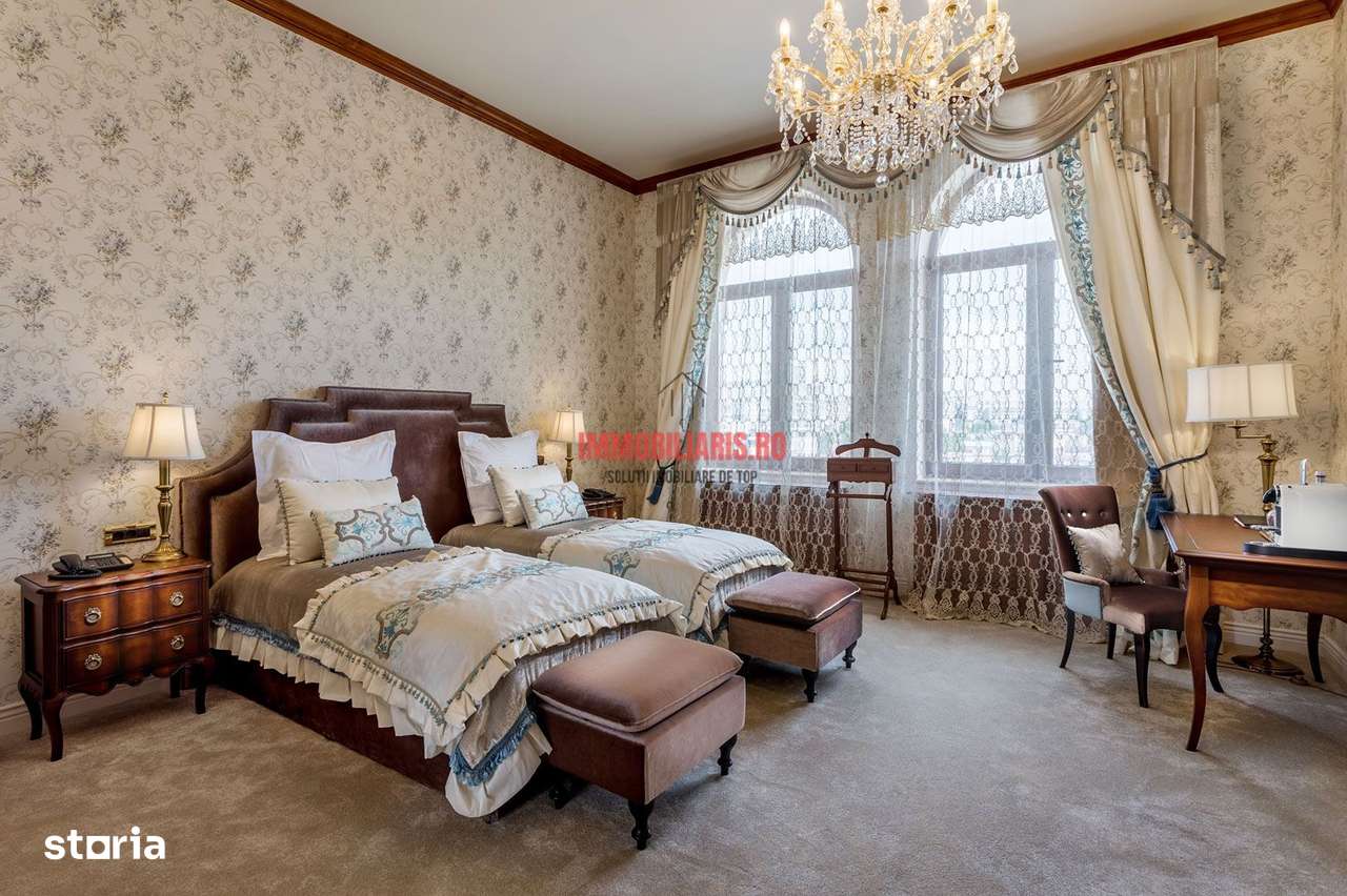 Theodor Pallady - FINALIZAT - Direct Dezvoltator-4