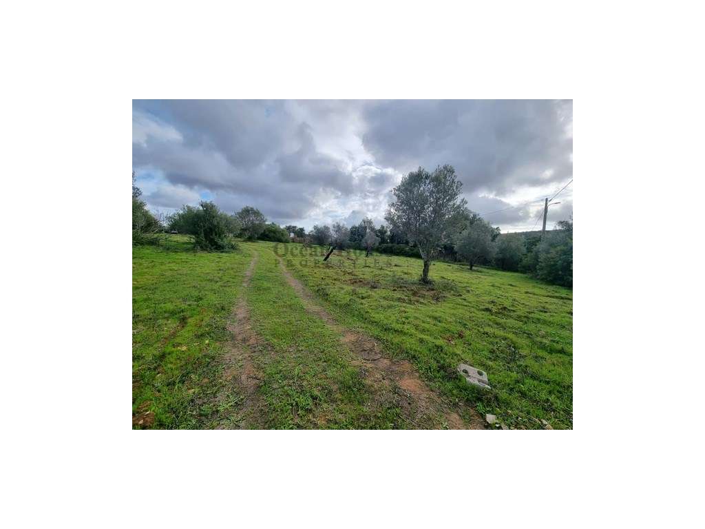 Terreno com projecto aprovado para moradia em Tôr - Loulé-5