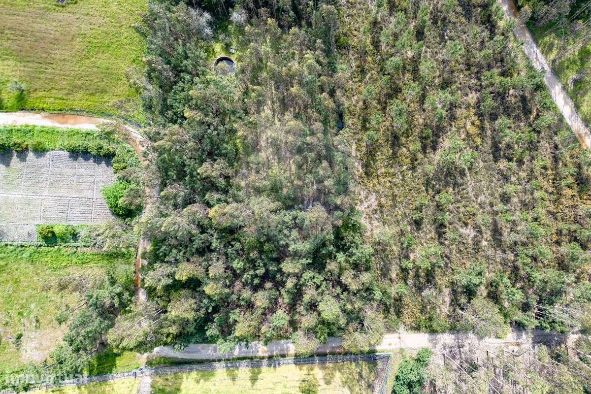 Terreno  para venda - Grande imagem: 5/19