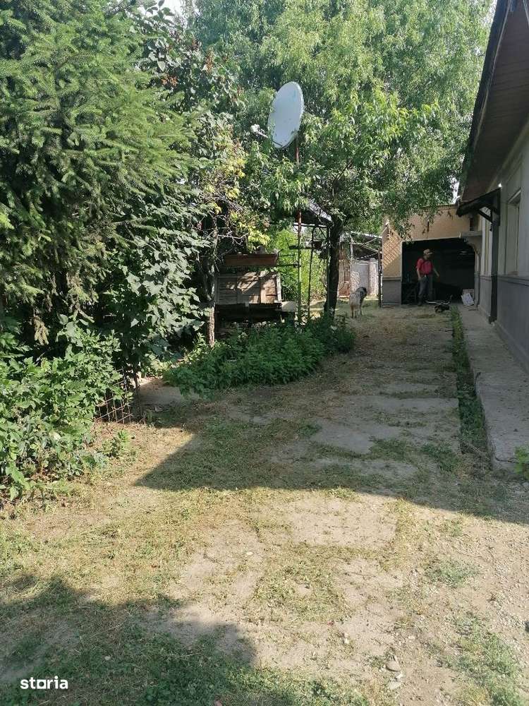 Vand casa batraneasca cu teren 2200 mp, Tantava, aproape de București - Imagine principală: 4/8