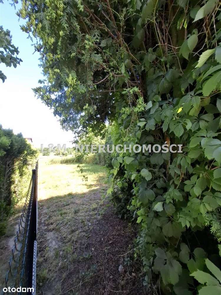 Duża działka w Bełku !! - Pełny obrazek: 4/8