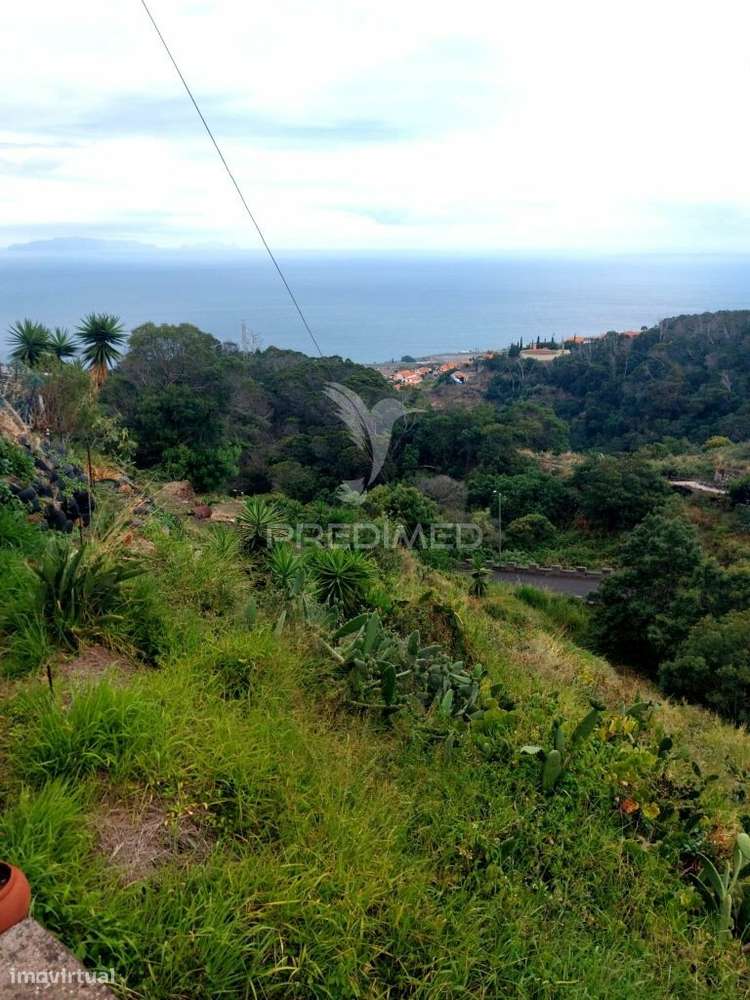 Terreno rústico em  Água de  pena . - Grande imagem: 4/7
