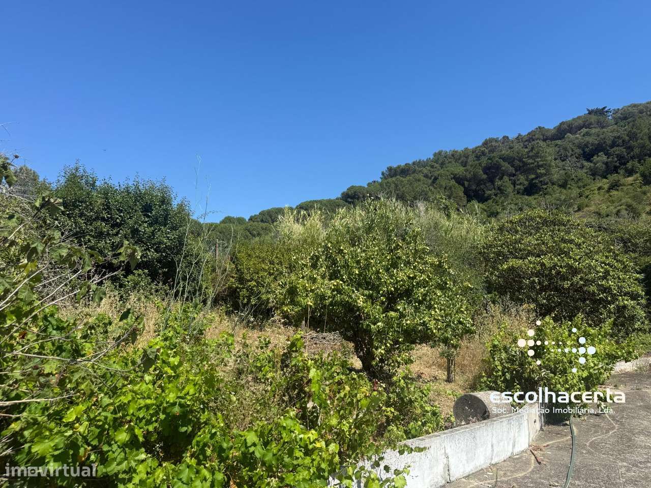Quinta unica em pleno coração da Arrabida-59
