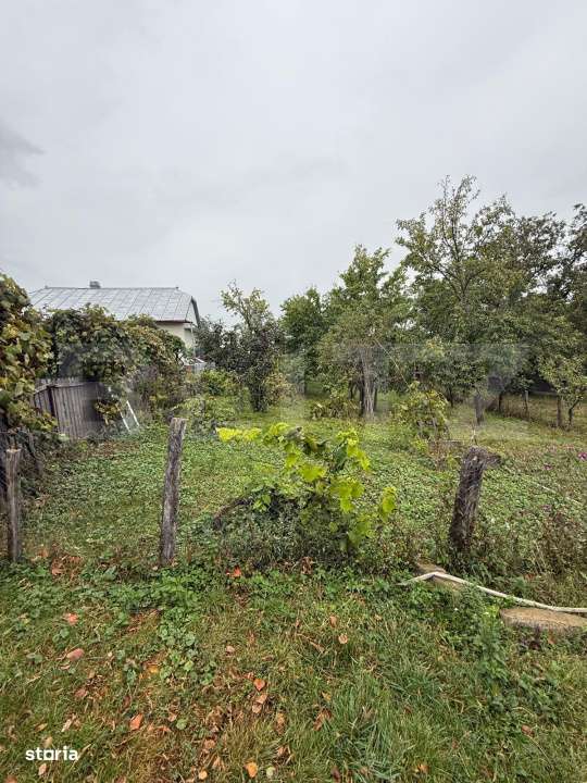 Casa batraneasca, 65 mp si teren intravilan 5600 mp, Adancata - Imagine principală: 4/8