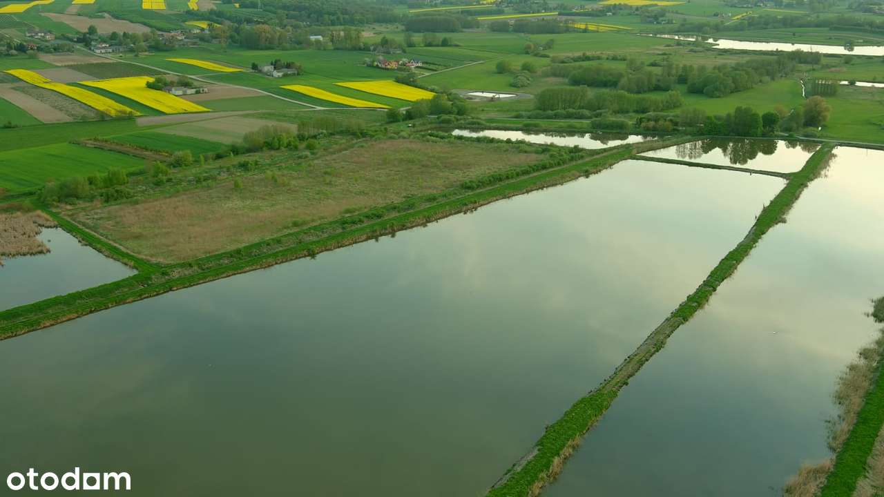 Gospodarstwo Rybackie Markuszów pow. Puławski-8