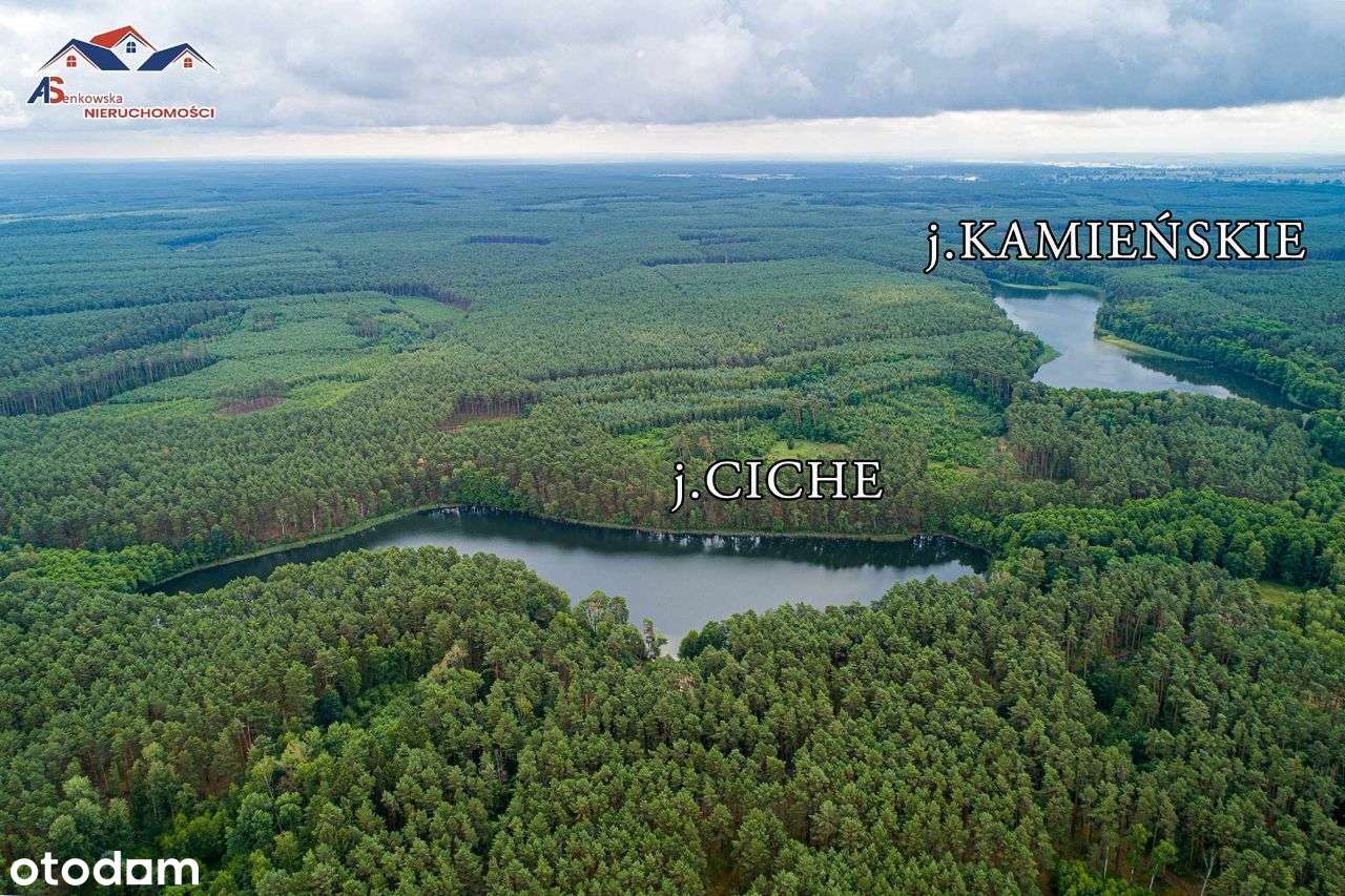 Na sprzedaż agroturystyka obok Krosna Odrzańskiego-14