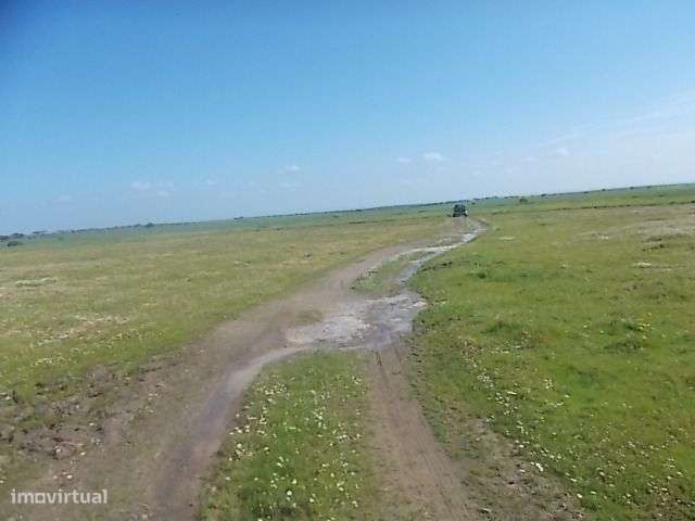 Terreno Agrícola viabilidade construção 5,15ha - Grande imagem: 5/8