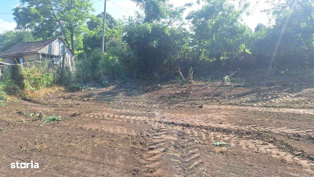 Teren intravilan în Rediu, jud Iasi - Imagine principală: 4/6