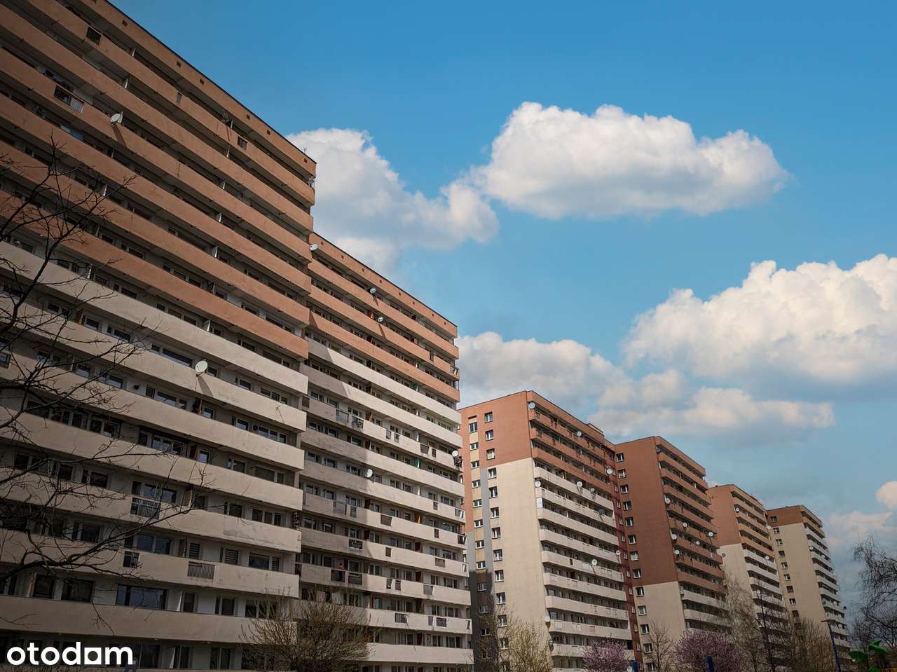 Przestronne mieszkanie z balkonem | Osiedle Irys-2