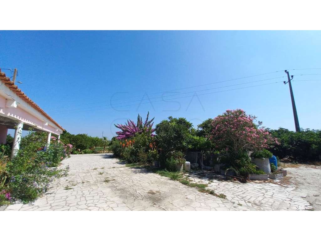 Herdade vinhateira próxima de Setúbal-23