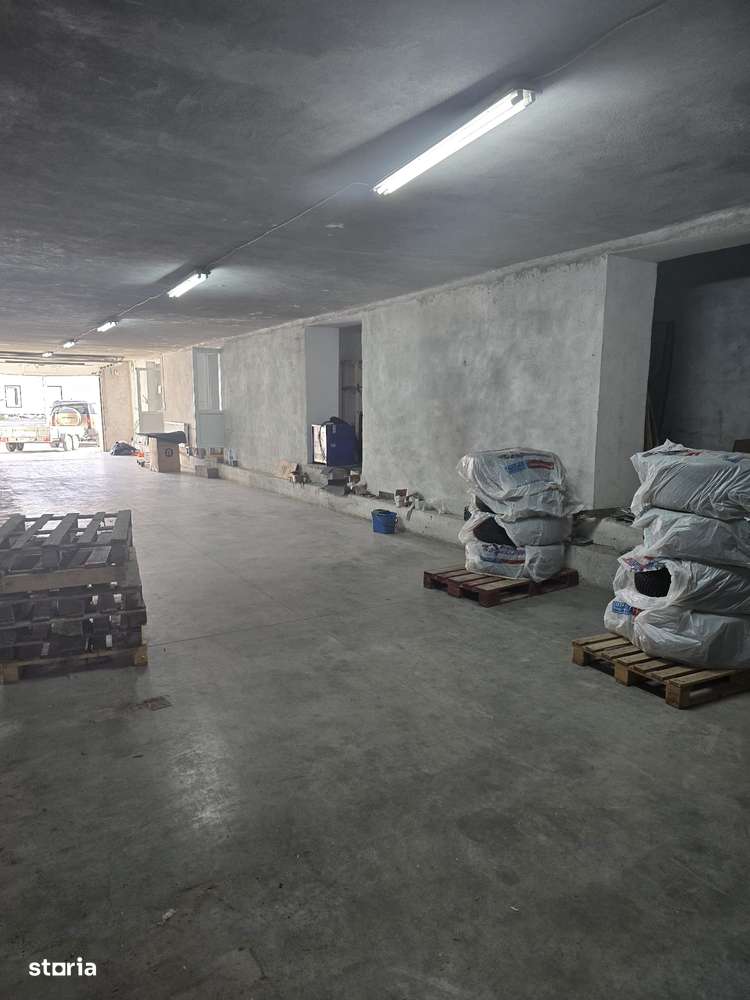 Hala depozitare sau mica productie, zona Zizinului, 400mp-3