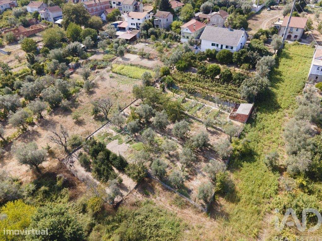 Quinta T5 em Lajeosa do Dão de 315,00 m2 - Grande imagem: 5/29