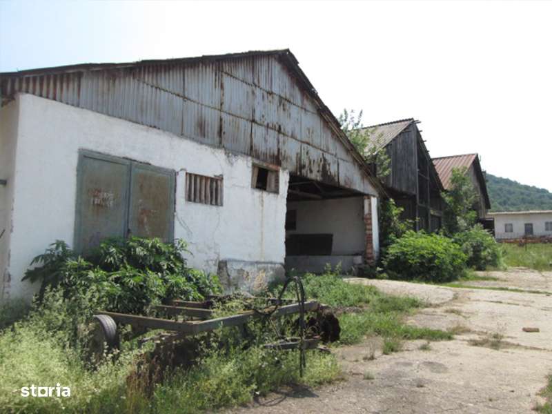 Teren agricol de 12 579 mp si contructii 5 161 mp-1