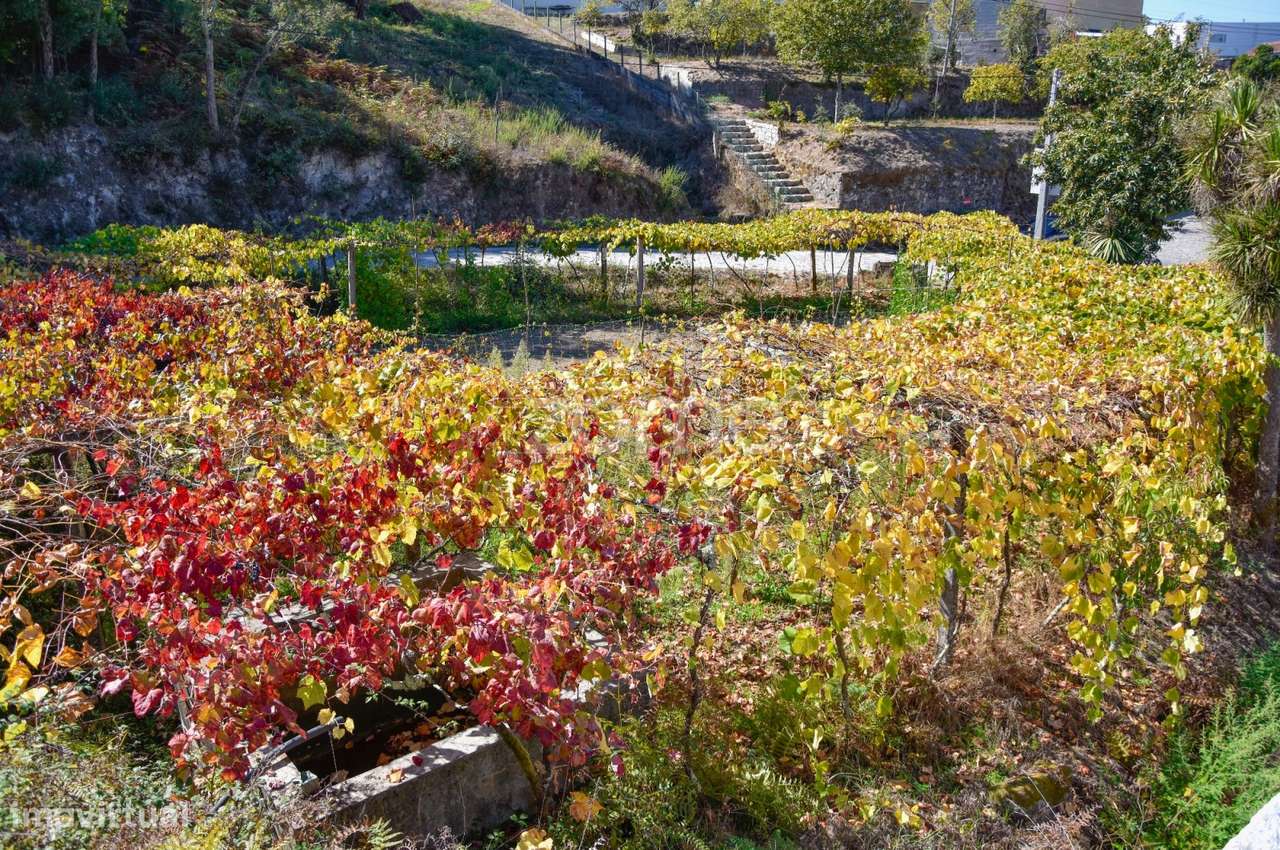 Terreno Rústico de 4.800m2 com Mina, Poço, Eletricidade + Anexos - Grande imagem: 5/15