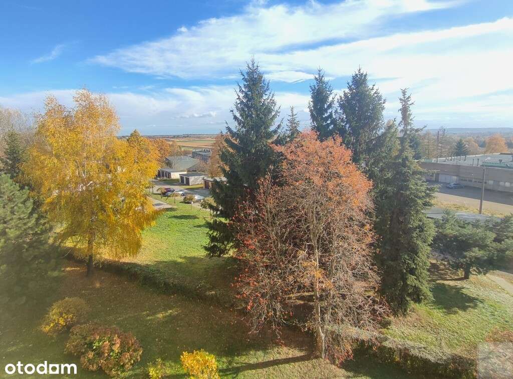 Na sprzedaż mieszkanie z garażem /Monte Cassino/-12