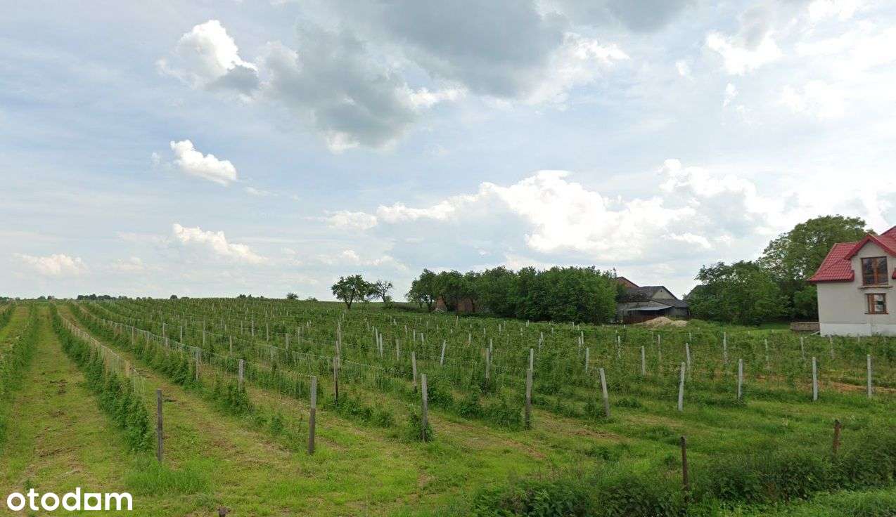 Dom z budynkami gospodarczymi Łopiennik 24-224 - Pełny obrazek: 5/5