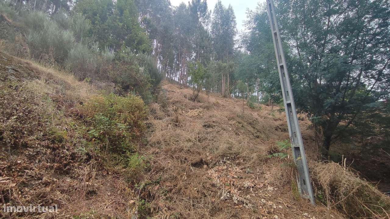 Terreno, 2 200 m², Bouro (Santa Maria) - Grande imagem: 4/8