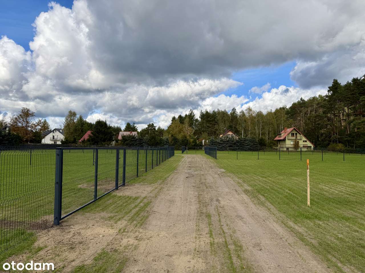 Działki przy jeziorze Lucieńskim i lesie państwowym-3