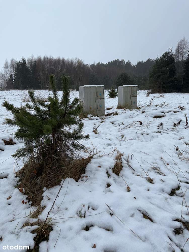 Bezpośrednio, atrakcyjna działka budowlana - Bugaj, gm. Pobiedziska - Pełny obrazek: 2/13