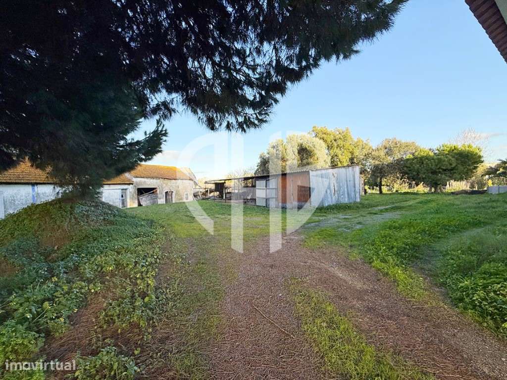 Moradia T3 + Área Terreno 4.150m2 + Atracadouro // P/Recuperar-33