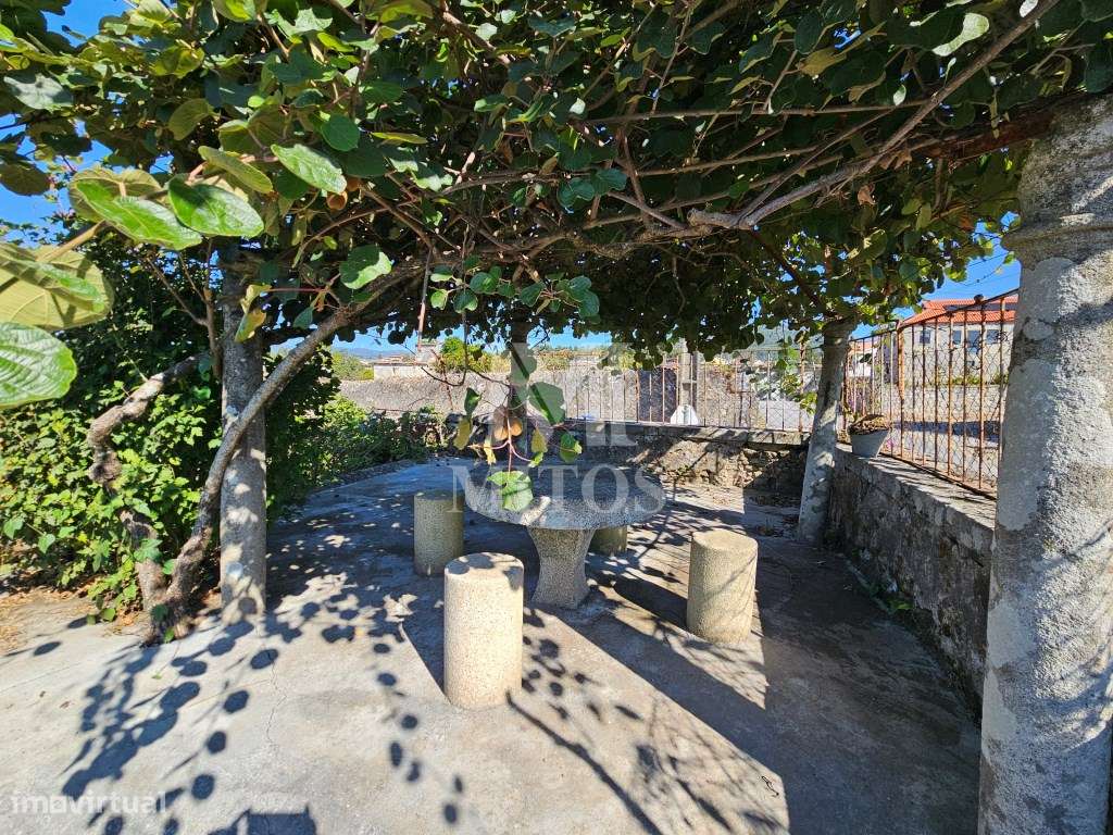 Excelente quinta para venda no Barco do Porto - Serreleis - Grande imagem: 5/54