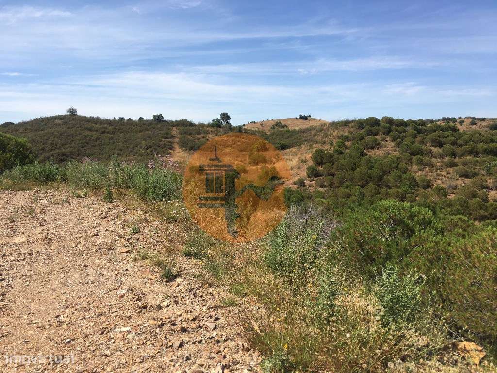 Terreno Rustico em Pisa Barro de Cima - Grande imagem: 1/27