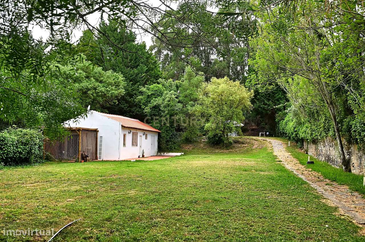 Quinta com 3200 m², LINHÓ - SINTRA-19
