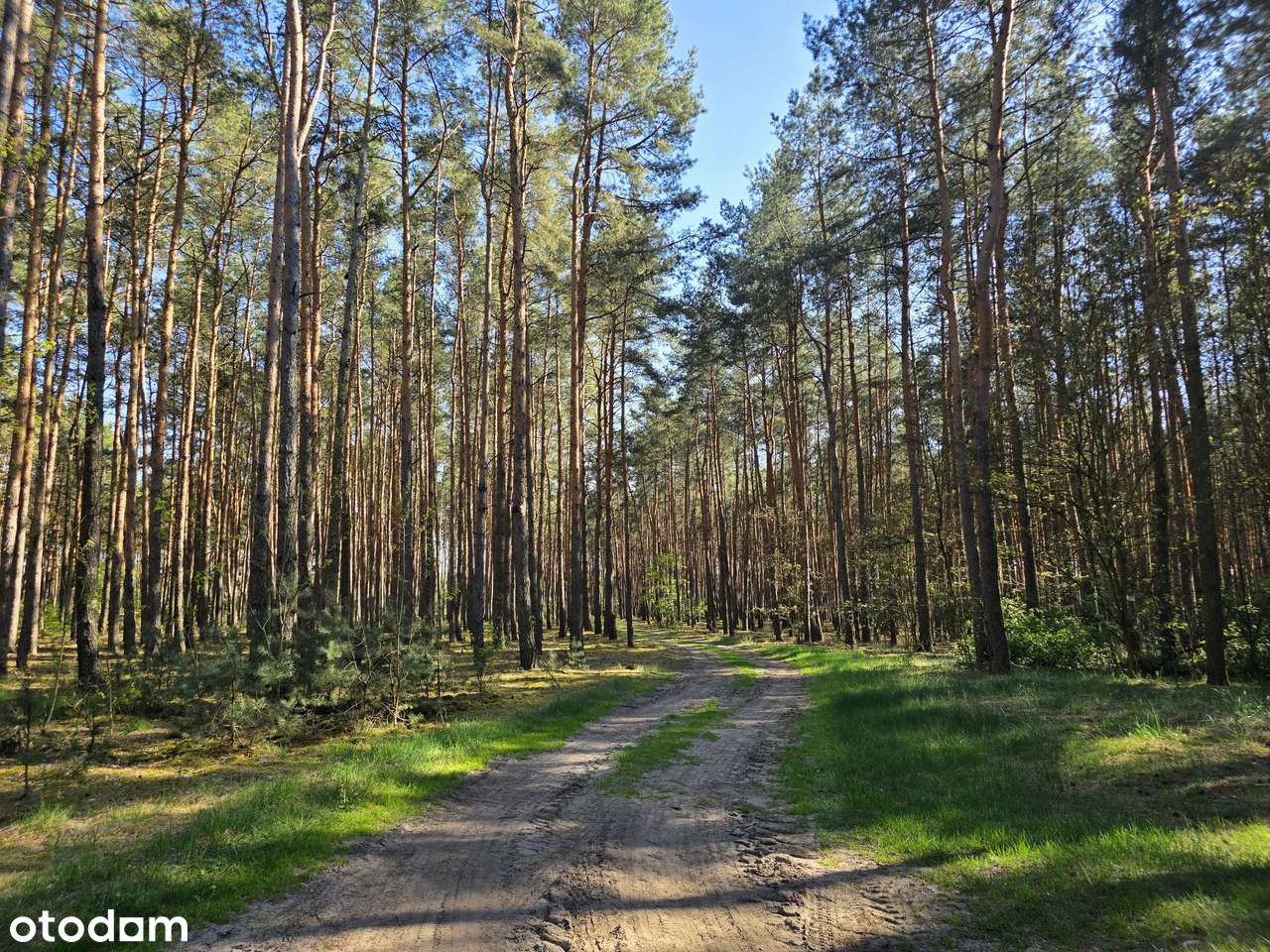 Działka budowlana w Kaszczorze, blisko Jeziora Wieleńskiego-11