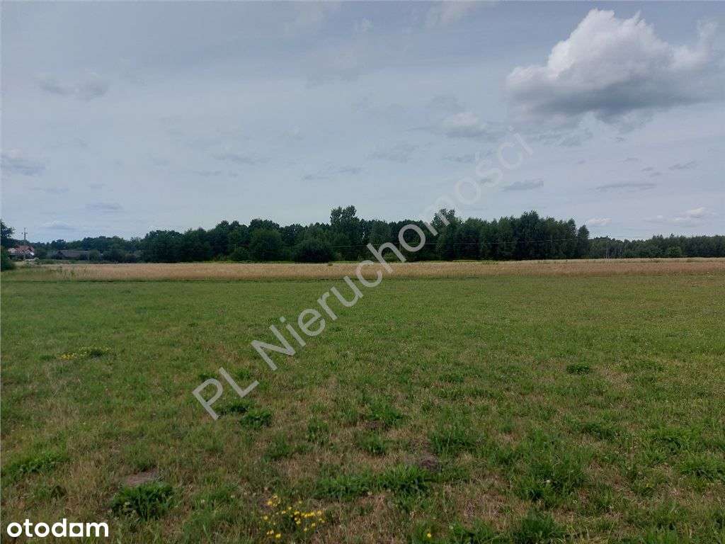 Działka Budowlana Blisko Lasu - Pełny obrazek: 4/7