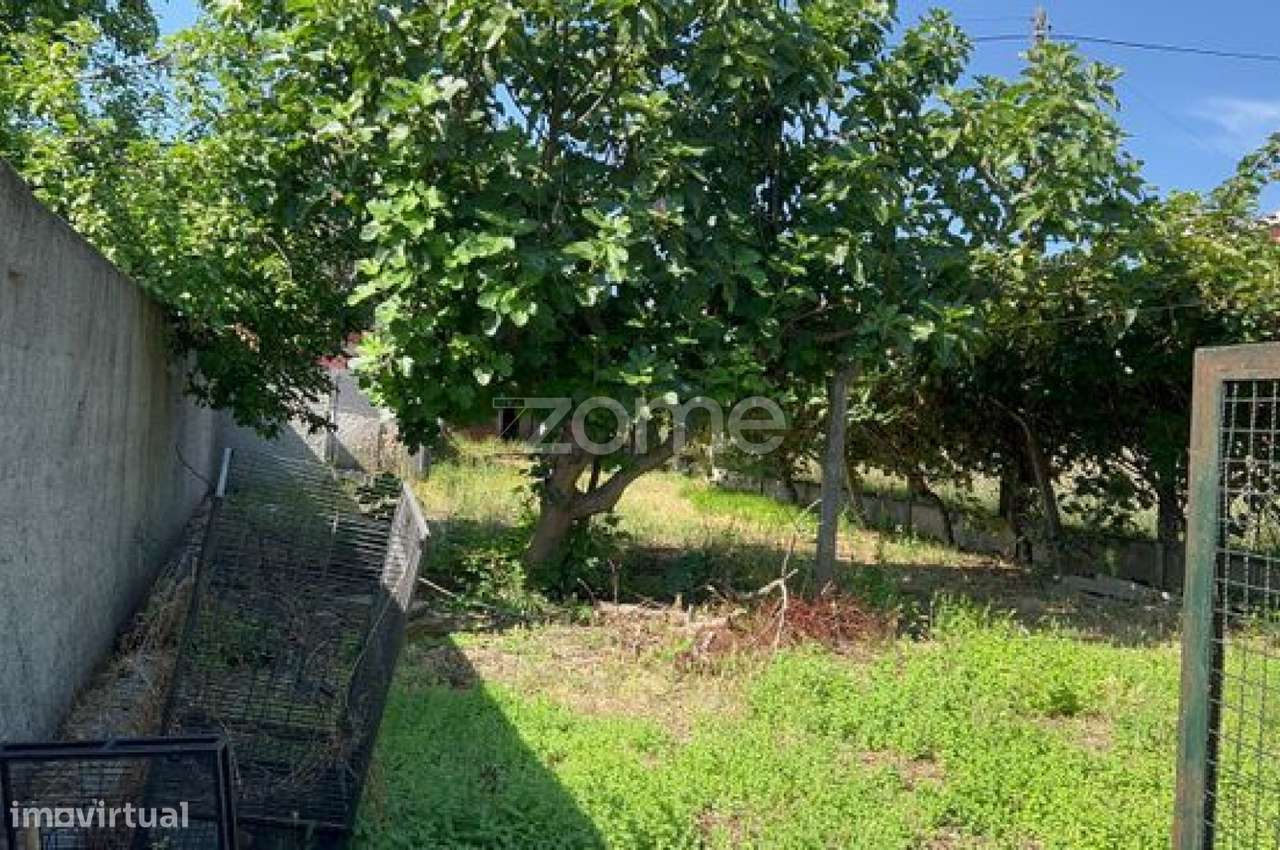 Construa a Casa dos Seus Sonhos em Escariz – Terreno Plano à Venda - Grande imagem: 4/16