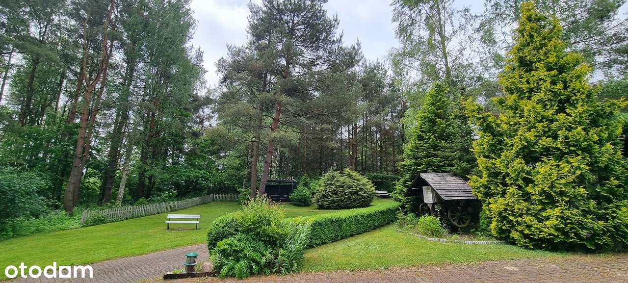 Teren na rezydencję, dom na wsi, blisko aglomeracji miejskiej.-0