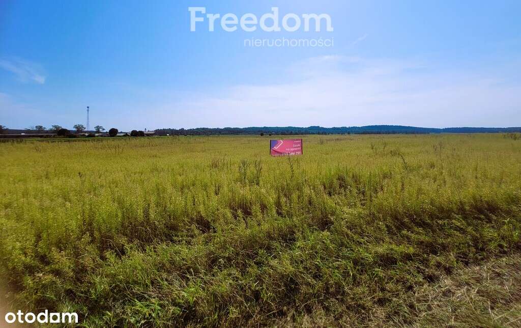 Działka Napiwoda Mazury Nidzica 7km - Pełny obrazek: 4/20