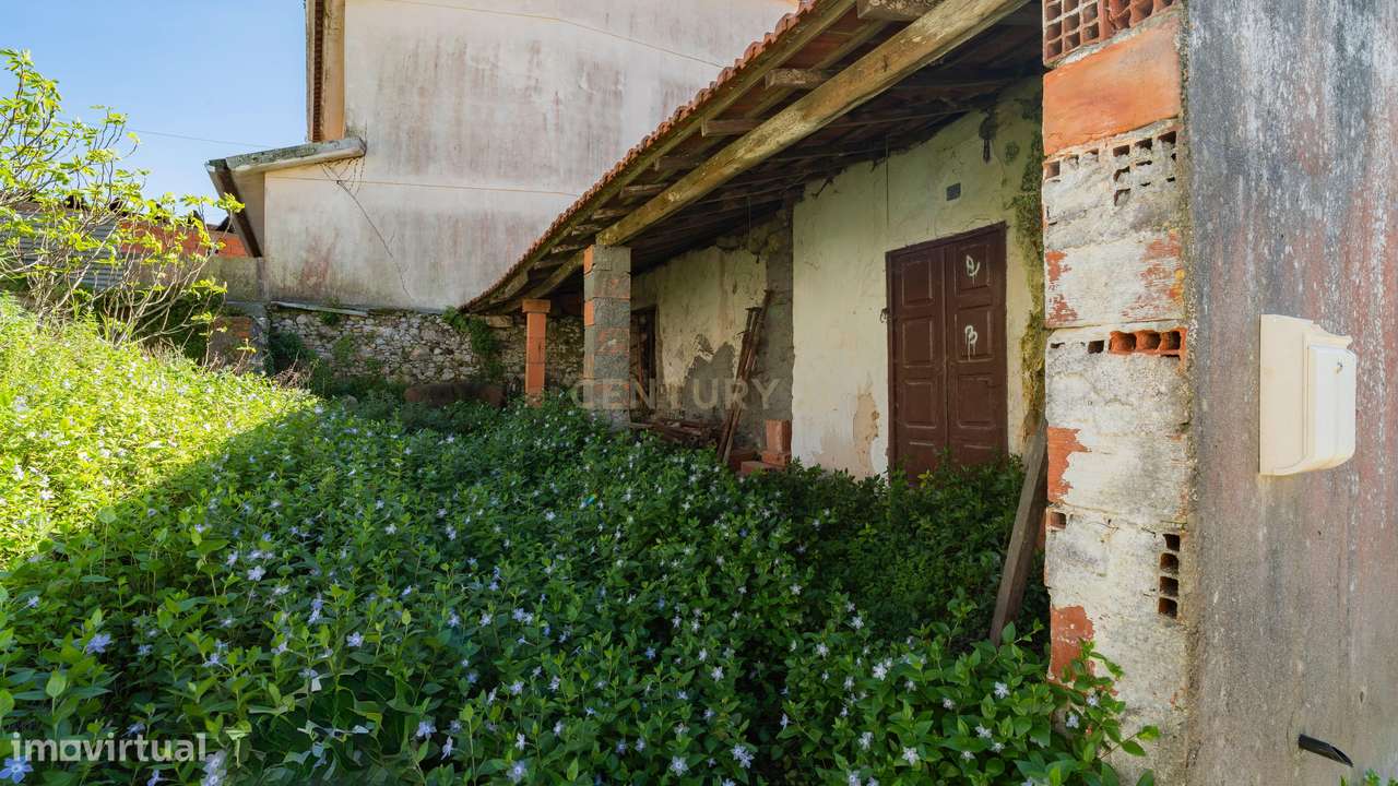 Moradia Para recuperar com terreno - Grande imagem: 4/14