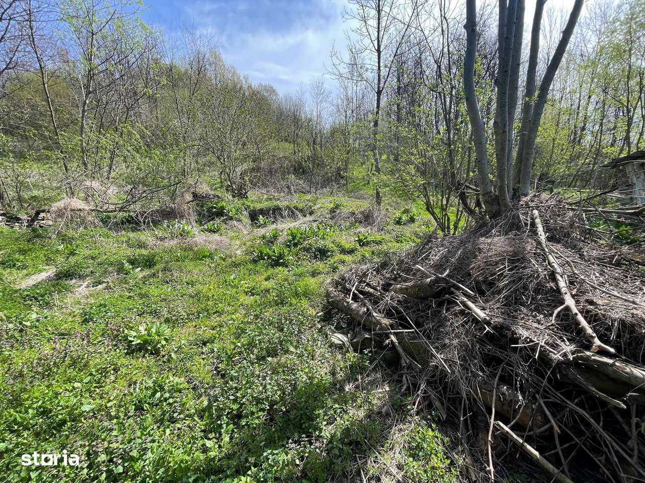 Oportunitate de Investiție în Slănic Prahova-2