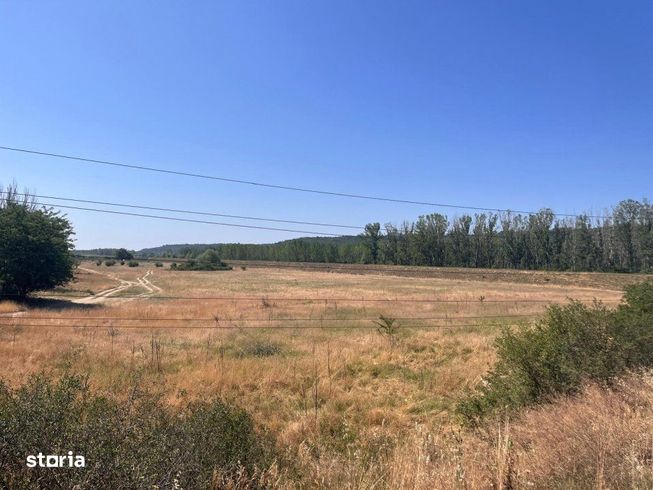 Teren agricol cu potential – 24.834 mp, zona Podul Jiului-14