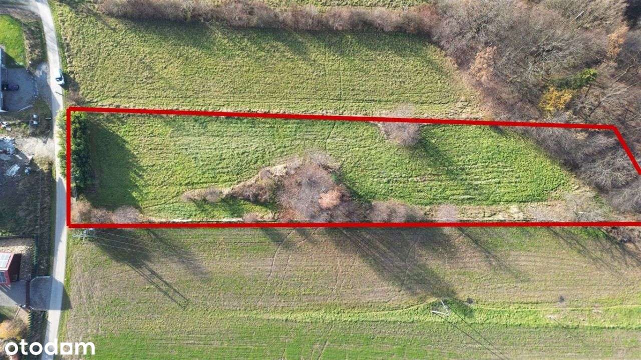 Cicha i spokojna okolica z dużą działką! - Pełny obrazek: 4/7