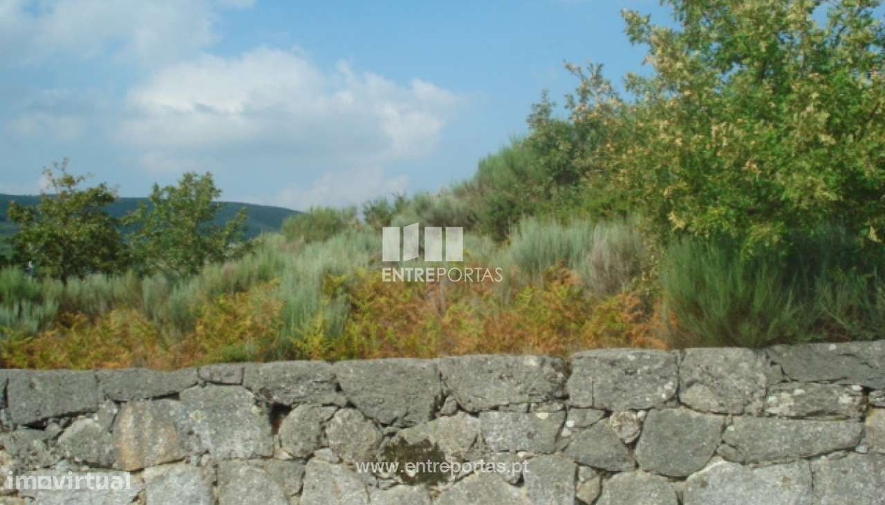 Venda Terreno, Gestaçô, Baião - Grande imagem: 3/5