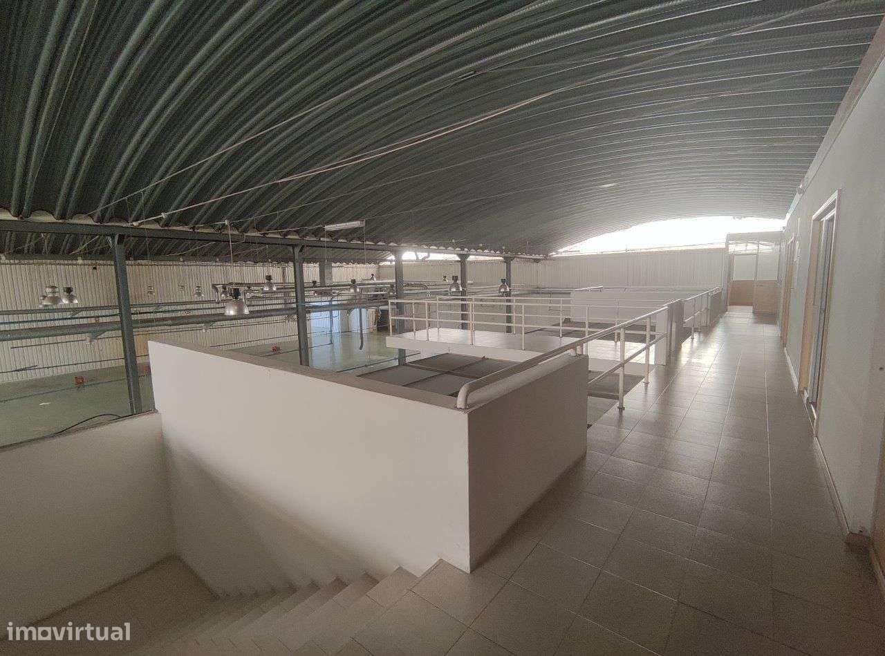 Armazém/fábrica com licenciamento industrial em Castelo de Paiva-9