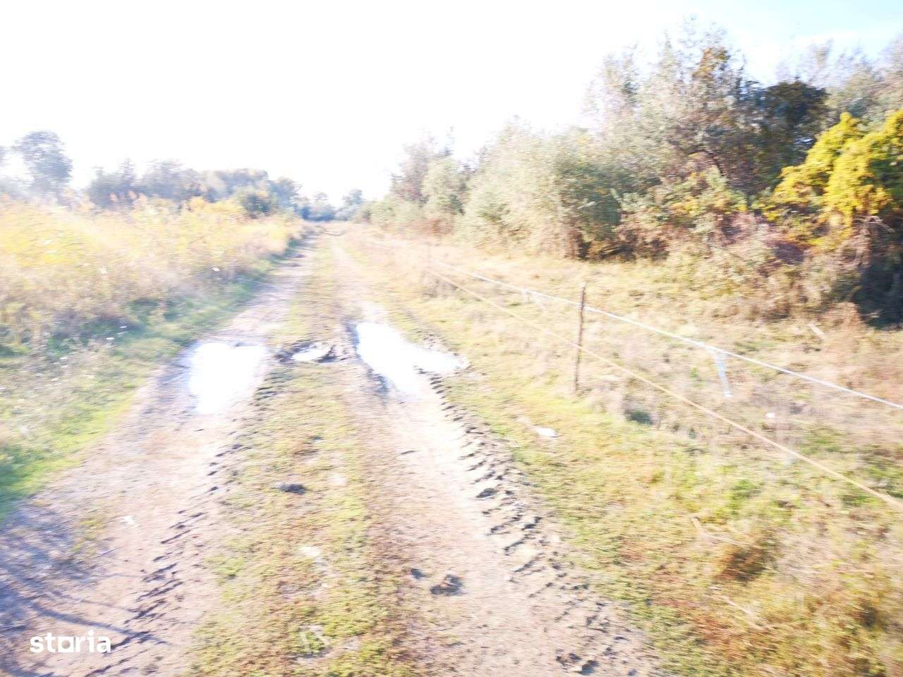 Vand 20.000 mp Delta-Tudor Vladimirescu-3