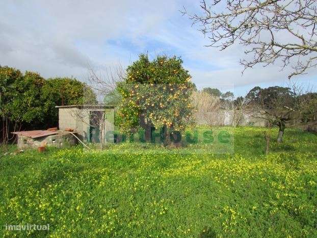 Moradia Para Reconstrução com Terreno 3000 mts - Grande imagem: 5/6